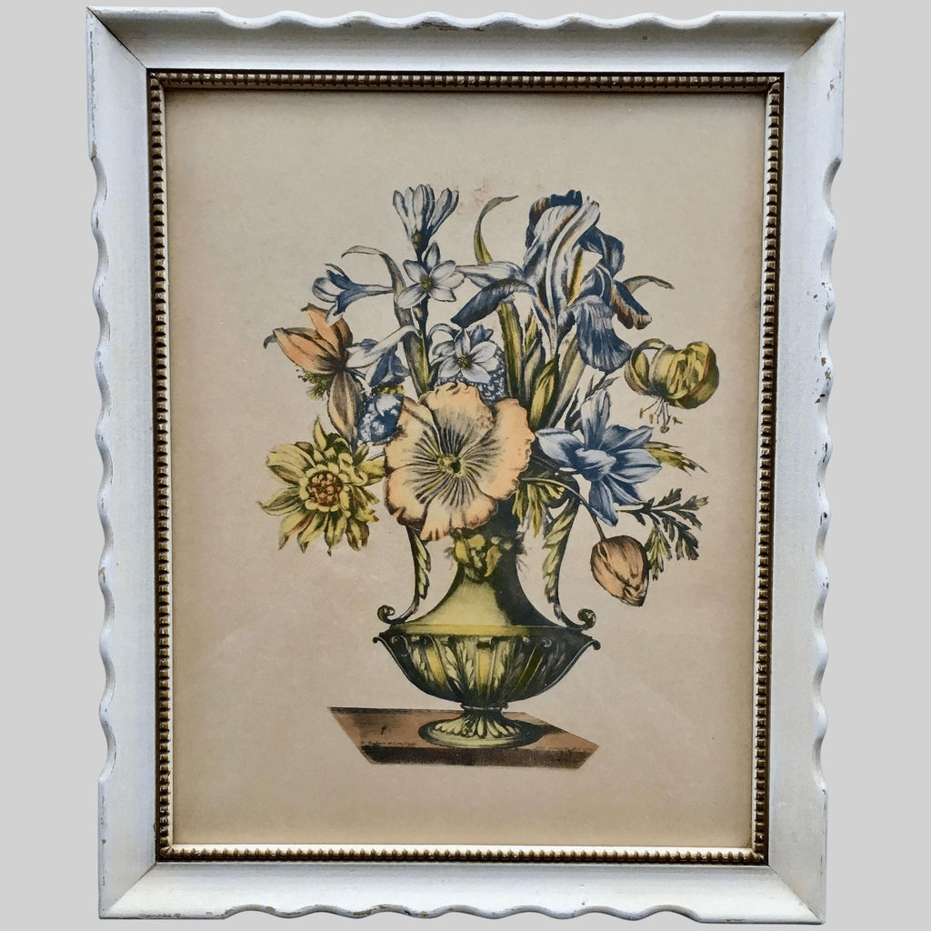 19th Century Engraving of Nicholas Roberts Botanical Painting