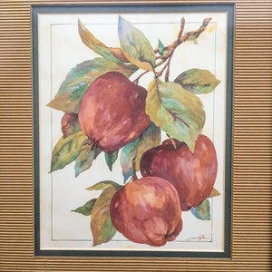Watercolor Painting of Apple Branches by Jerianne Van Dijk Painting Vintage 