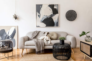 living room decorated in gray, white and black colors