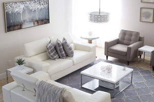 living room decorated in gray and white colors